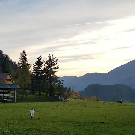 Fairytale Hideaway Lodge